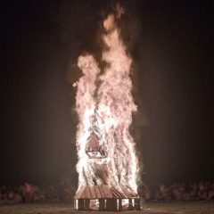 Blazing Sparrow - Kiez Burn Effigy Fire Space 2025