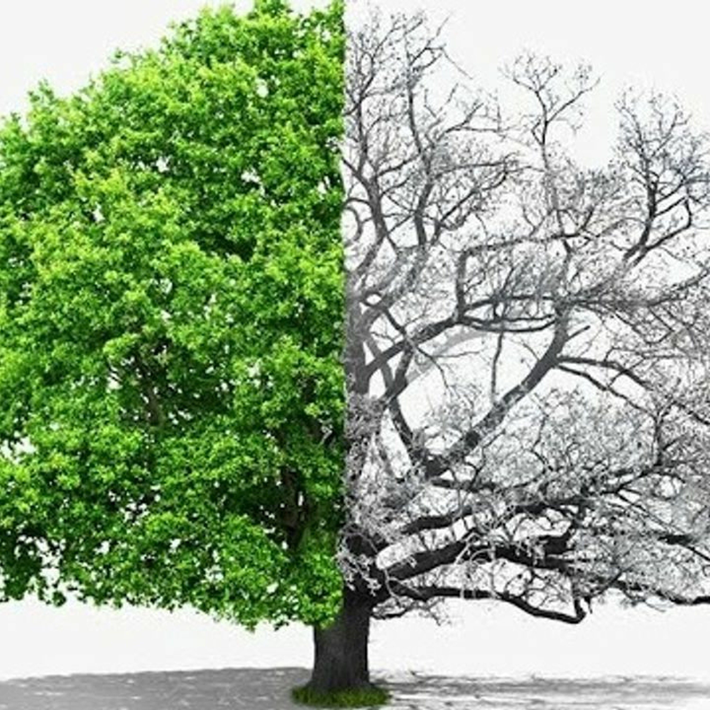 "A SWORD FOR THE NATIONS": JUSTICE, JOY & JUDGEMENT