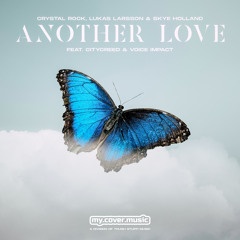 Another Love (feat. Citycr33d & Voice Impact)