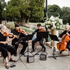 There She Goes - The La's (GSS string cover)