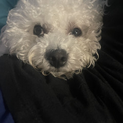 Rx Papi Stood On Business