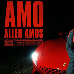 Amo aller Amos