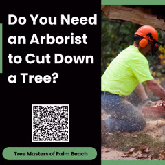 Do You Need an Arborist to Cut Down a Tree?