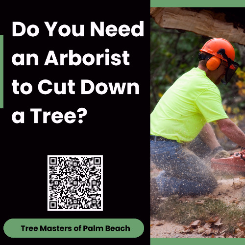 Do You Need an Arborist to Cut Down a Tree?