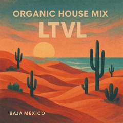 Organic House Mix