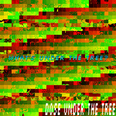 Cellulaire - What's under the tree??? (live set extract)