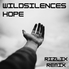 Wildsilences - Hope (RiZLiX Remix)