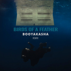 Billie Eilish - Birds of a Feather (Booyakasha Remix)