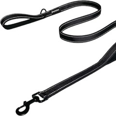 putem onthe leash