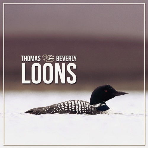 AMB10 Loons - Part 2