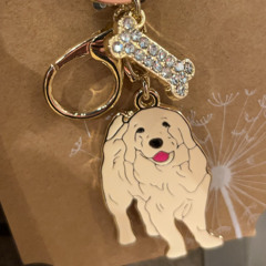 Pumpkinloveee deermonney - oldwestbury 🪩▼・ᴥ・▼🪩 no instagram thats not me :(