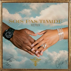 Gims - Sois Pas Timide (Tony Zeryon Remix)