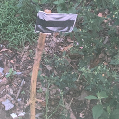 Shadow Metropolis National Anthem (Instrumental)