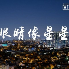 刘至佳 - 你的眼睛像星星 (DJ阿卓版) 『你的眼睛像星星亮晶晶』【動態歌詞/pīn yīn gē cí】