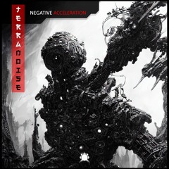 Terranoise - Negative Acceleration