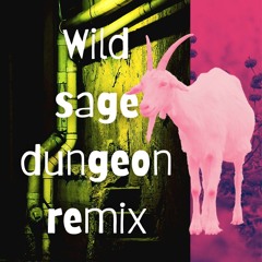 pov "wild sage" nightcore but its from the other room bc youre in a scary dungeoun