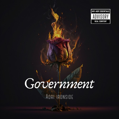 Government