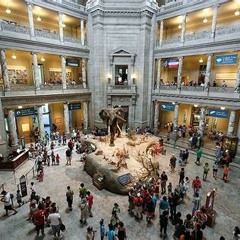 12 Best The How To Get Museum Of Natural History References Tour