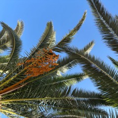 Summer
