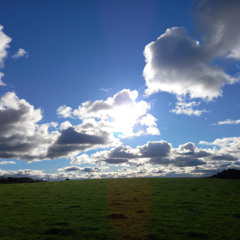 Every Horizon