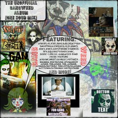 Mister Jip - Gangweedmix1hour (mastered)