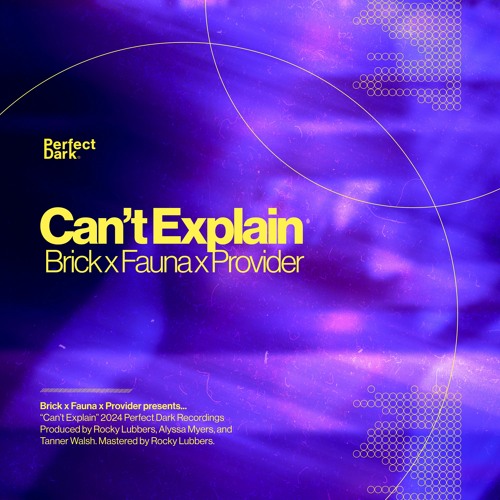 PREMIERE: Brick, Fauna, Provider - Can't Explain [PD038]