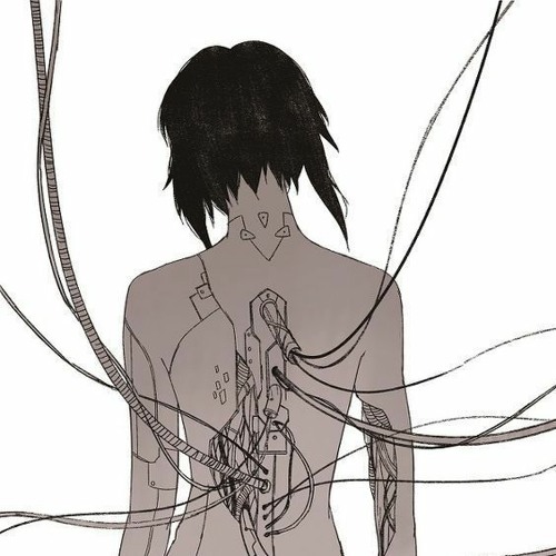 04 virtual crime