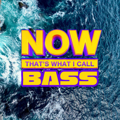 NOW THAT'S WHAT I CALL BASS