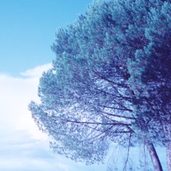 undust
