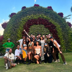 VAIVEN 2025 - Last of the Summer Vine