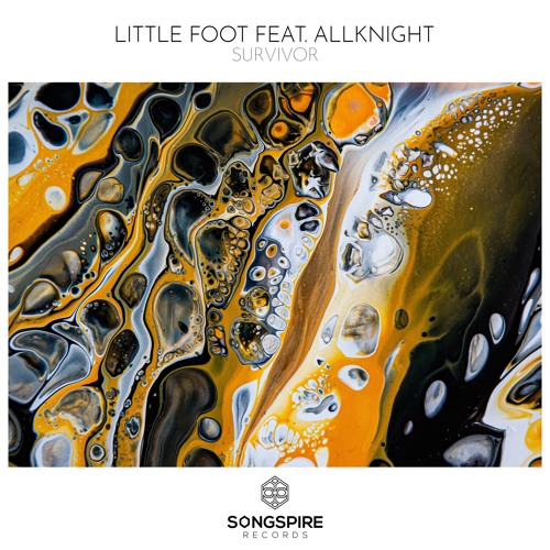 Little Foot Feat. ALLKNIGHT - Survivor (Original Mix)