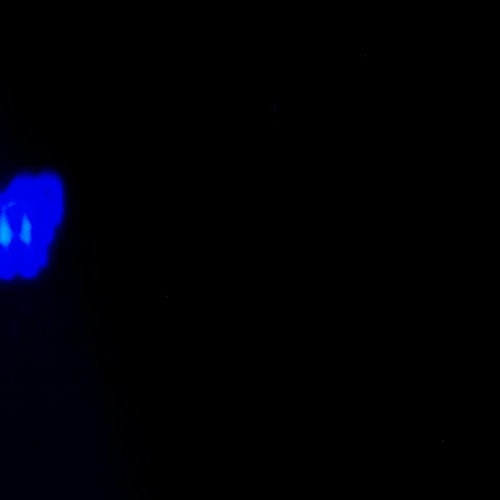 techno