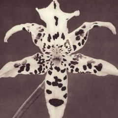 Gecenin Icine Gir Interlude.mp3