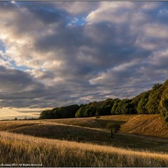 From The Magazine Forth!