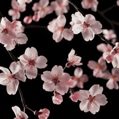 Темный принц - овердоз (romantic edition)