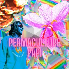 Permaculture Papi