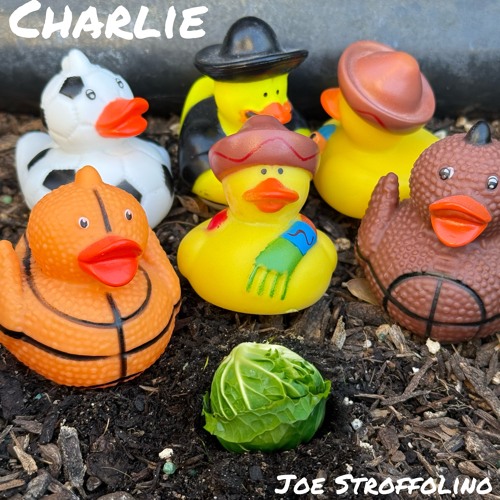 Charlie (Cabbage Song)