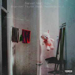 Never Met You ft. YellowBunny (Prod. Kiyoto)
