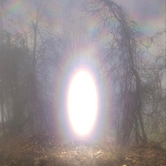 PHNTMZN PHNTMZN 2U 23940332