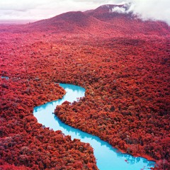 Richard Mosse on "Broken Spectre"