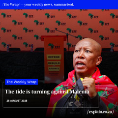 The tide is turning against Malema: 28 August '25