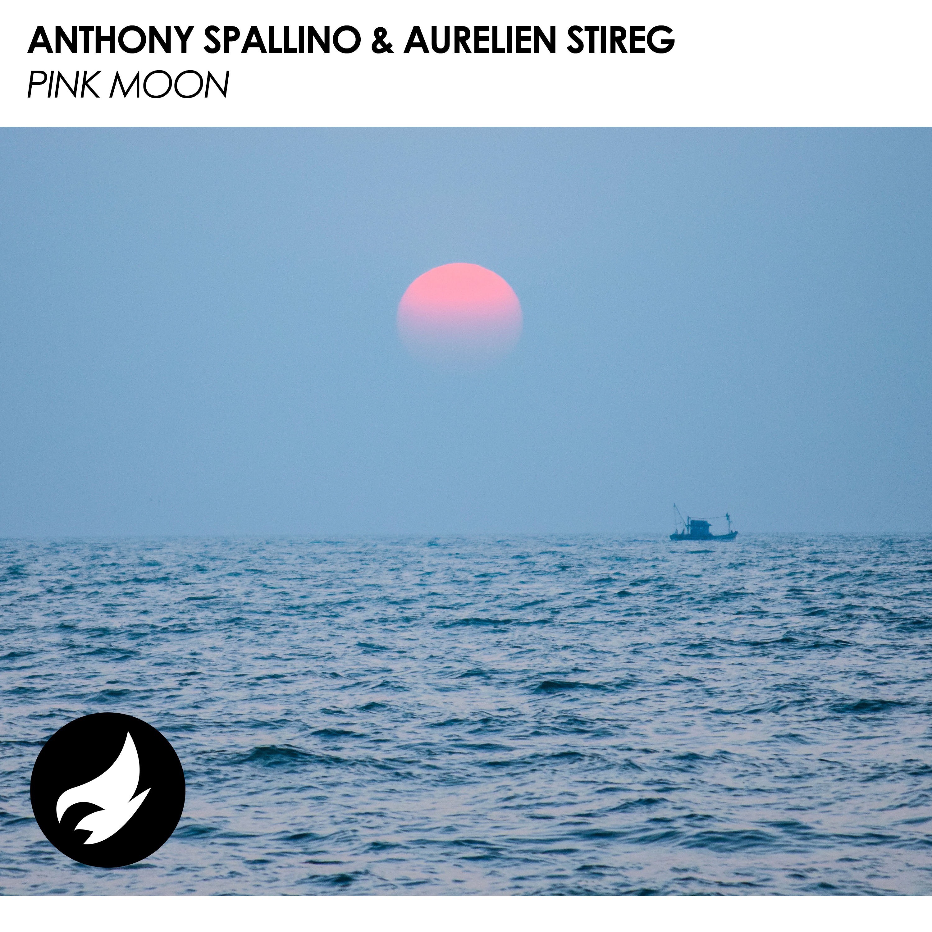 Aurelien Stireg