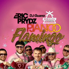 Eric Prydz VS BERMUDU DIVSTŪRIS & DJ Guano - Pjanoo Flamingoo (@GynarzWildz Bootleg Mashup Short Edit)