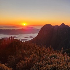 Viajando Descalço