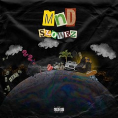 "22zarzuty" (prod.malloy)