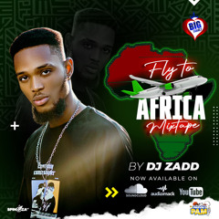 Fly To Africa |Afro beat| Ckay| Omah lay| Ruger| Tayc | Davido| Burna boy| Tems| Wizkid |Amapiano|