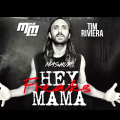 David Guetta Vs Timmy Trumpet - Hey FREAKS Mama  (DJ Viv)