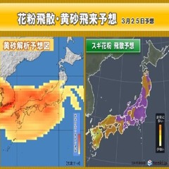 花粉と黄砂