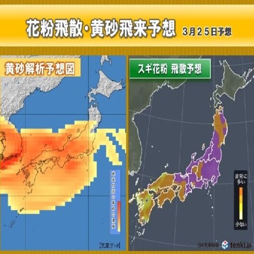 花粉と黄砂