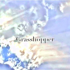 Grasshopper